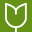 Bloomydays Logo